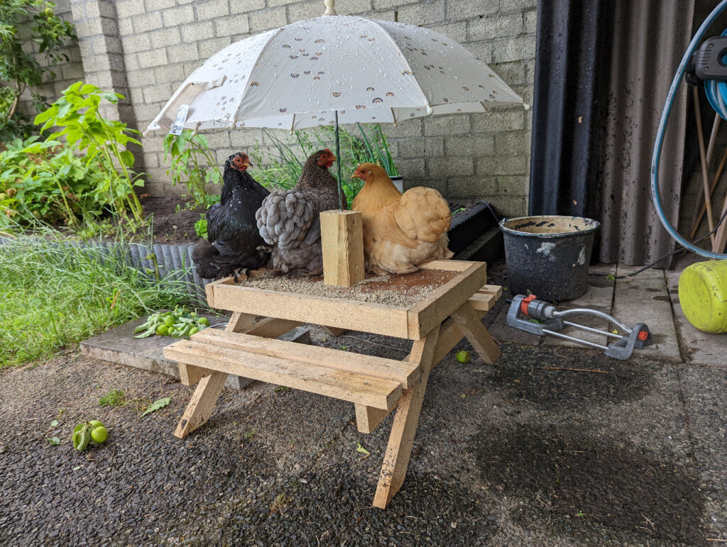 Chicknick table, with rain-proof umbrella ;-)