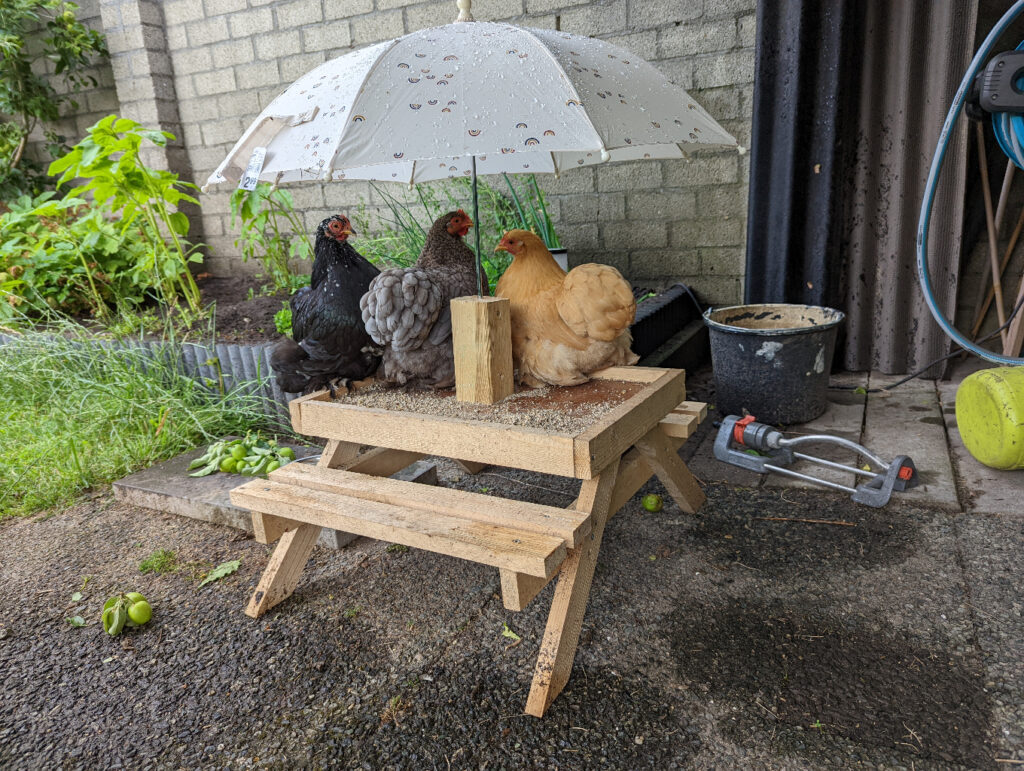Chicknick table, with rain-proof umbrella ;-)
